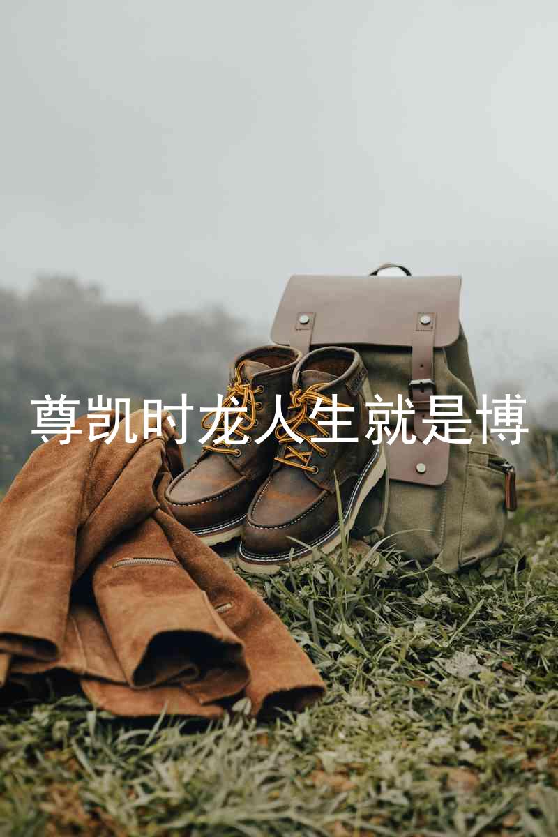 尊凯时龙人生就是博